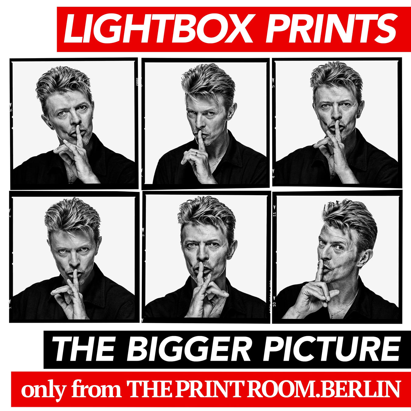 The David Bowie Lightbox Collection