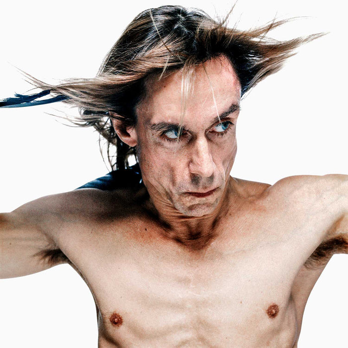 Iggy Pop #7 Open Edition Print