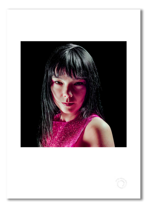 Björk 1in100 Limited Edition Print