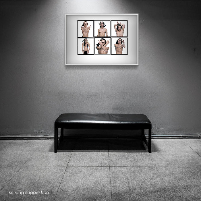 Framed A2 Lightbox of Iggy Pop by Gavin Evans. Colour portraits with feathers from 1996. Displayed in monochrome space, Lightbox Collection.