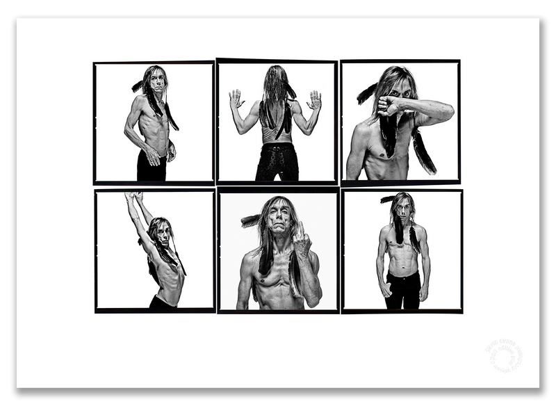 Iggy Pop Lightbox #1, bare-chested, crow feathers, black and white, white background, London 1996, by Gavin Evans — A2 fine art photography print
