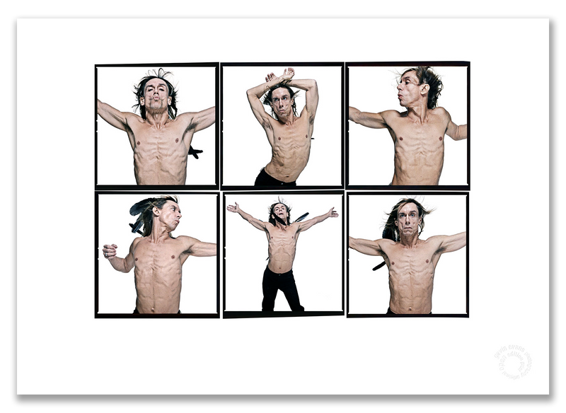Iggy Pop Lightbox #4, crow feathers, mid-dance, colour, white background, London 1996, by Gavin Evans — A2 fine art photography print