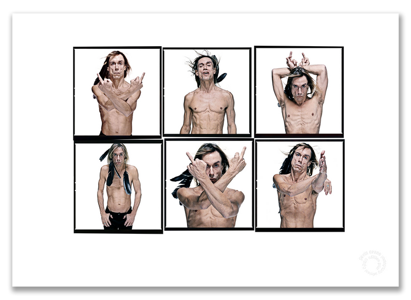 Iggy Pop Lightbox #5, crow feathers, dance variations, colour, white background, London 1996, by Gavin Evans — A2 fine art photography print