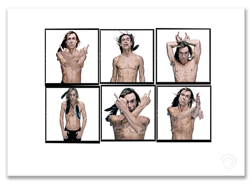 Iggy Pop Lightbox #5, crow feathers, dance variations, colour, white background, London 1996, by Gavin Evans — A2 fine art photography print